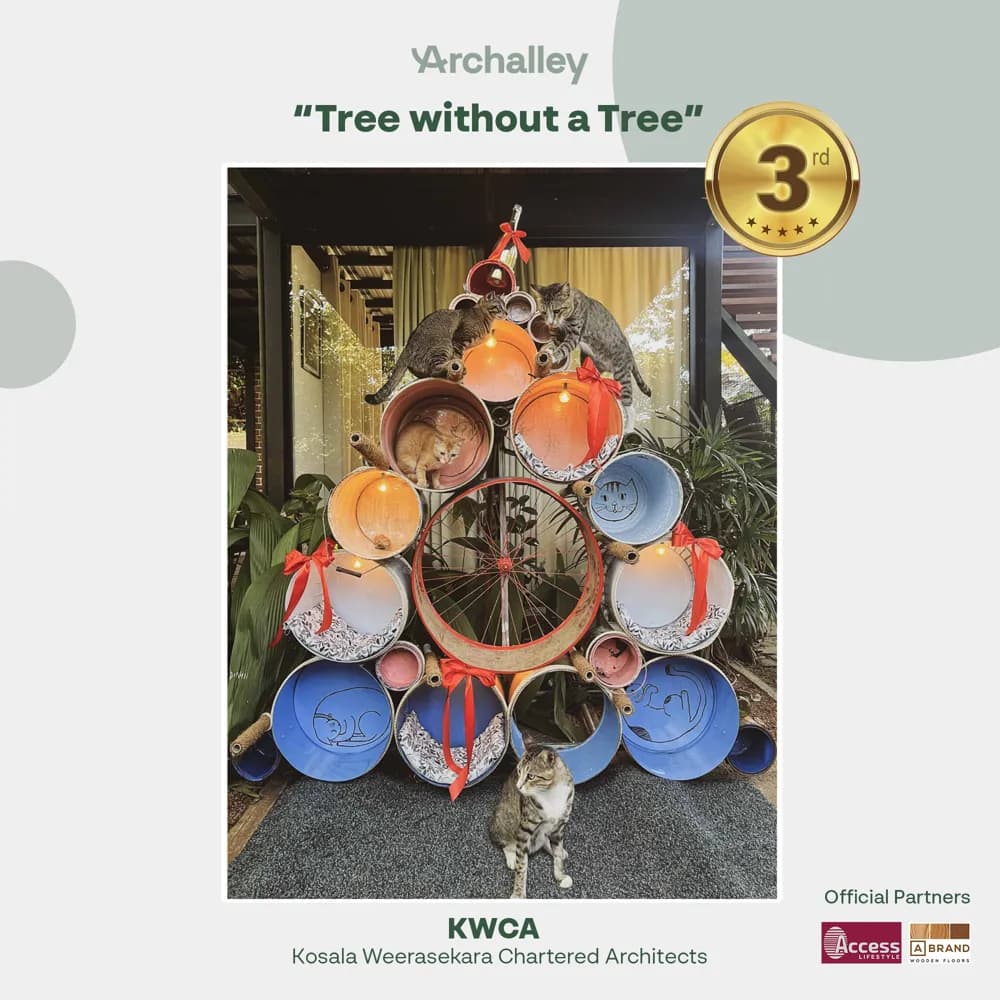 3rd Place Winner - Image 1